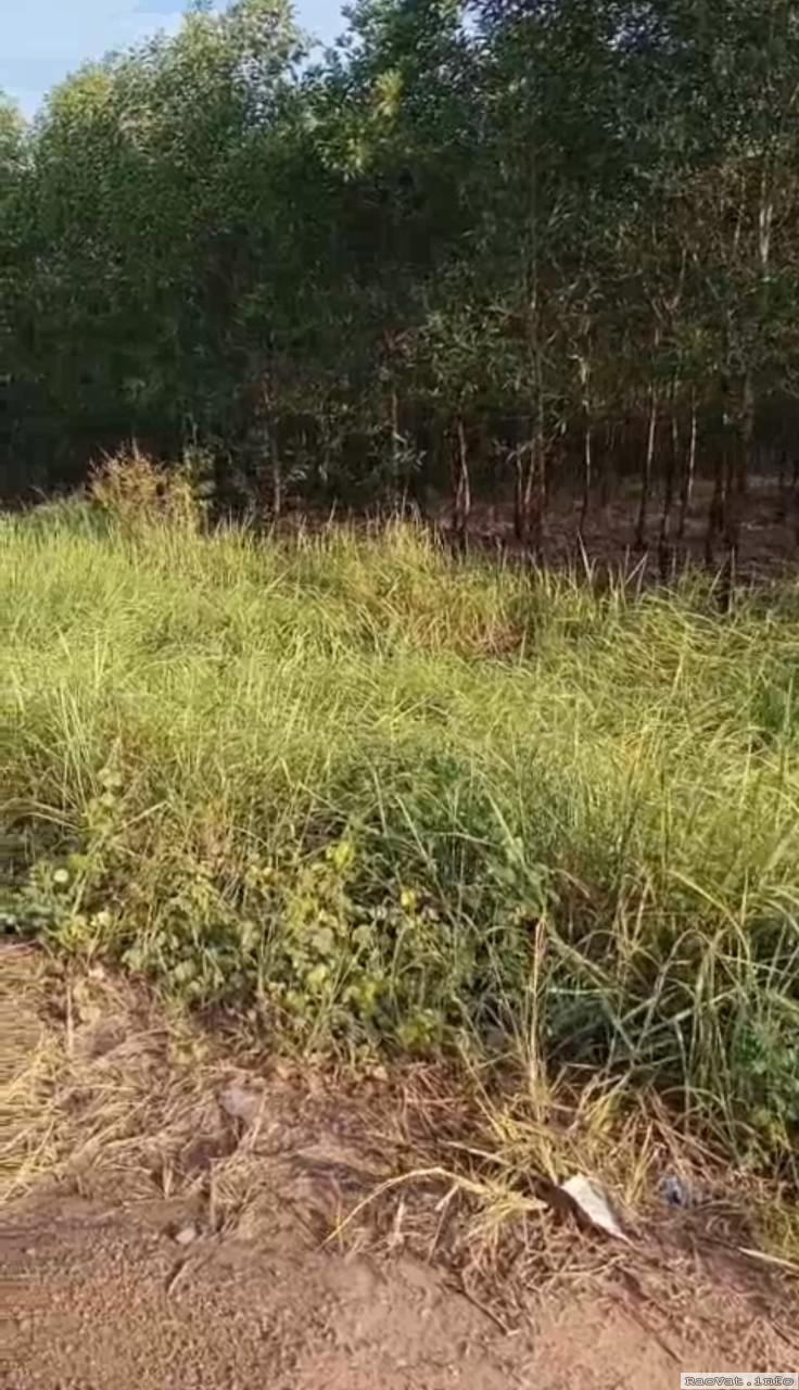 ban 112ha dat ngay kcn hoa luu binh phuoc 900tr 1ha lh0982696239 ban 112ha dat ngay kcn hoa luu binh phuoc 900tr 1ha lh0982696239