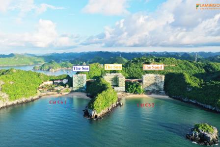 tinh hoa cua thien nhien va kien truc flamingo cat ba diem den xu huong cho trai nghiem nghi duong t tinh hoa cua thien nhien va kien truc flamingo cat ba diem den xu huong cho trai nghiem nghi duong t