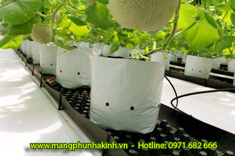 bat trai nen nha kinhnha mangbat trai dat nong nghiepbat trai nen israelbat phu nha kinh israel bat trai nen nha kinhnha mangbat trai dat nong nghiepbat trai nen israelbat phu nha kinh israel