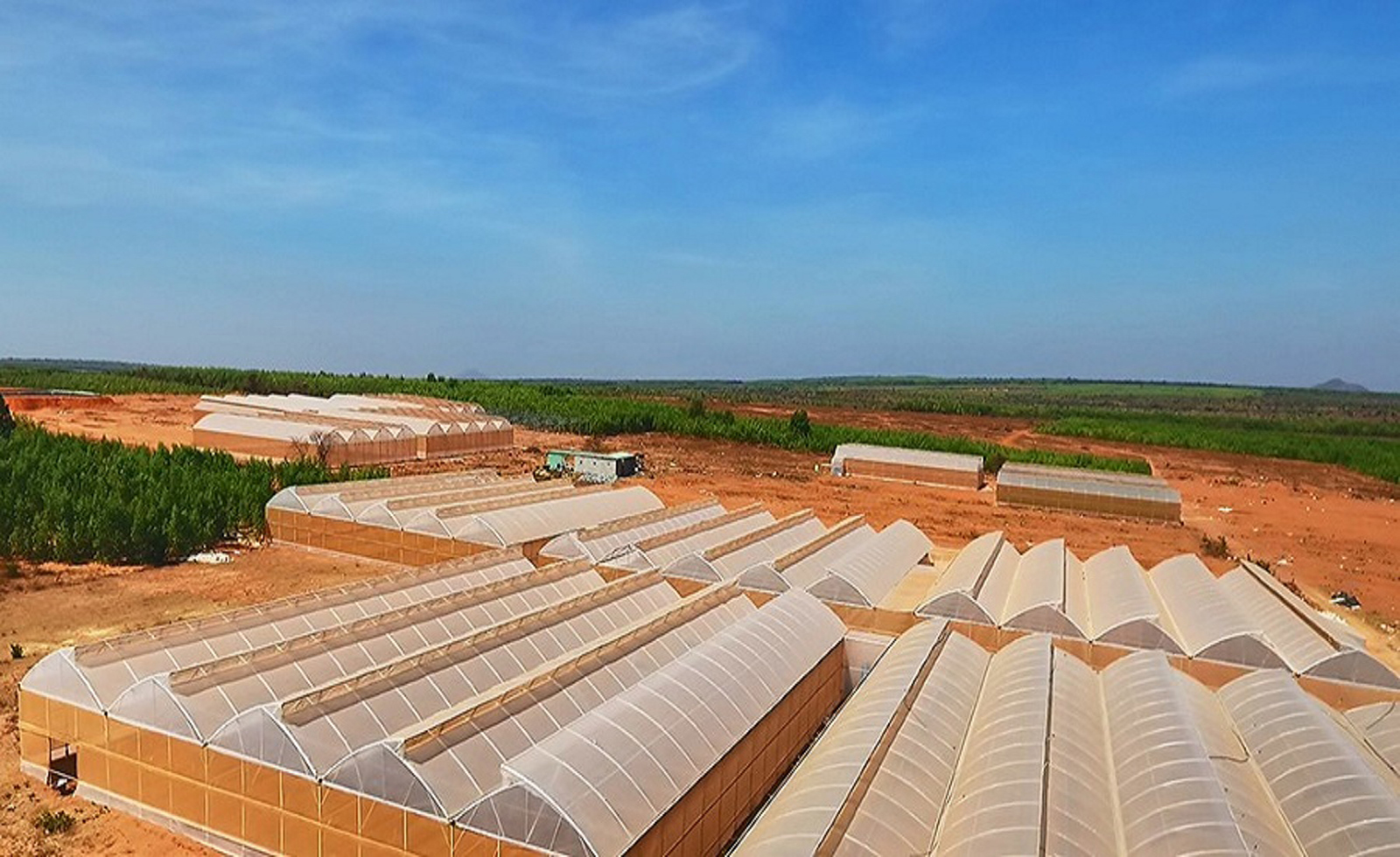 mang nha kinh politiv nong nghiepgia mang nha kinh israel politivgia mang phu nha kinh