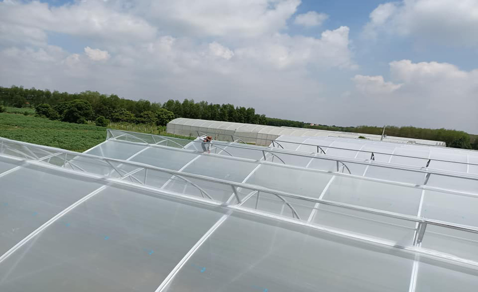 mang nha kinh politiv nong nghiepgia mang nha kinh israel politivgia mang phu nha kinh