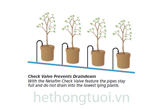 tuoi phun mua cho rau mo hinh tuoi phun mua israel gia he thong tuoi phun mua chi phi lap dat he tho tuoi phun mua cho rau mo hinh tuoi phun mua israel gia he thong tuoi phun mua chi phi lap dat he tho