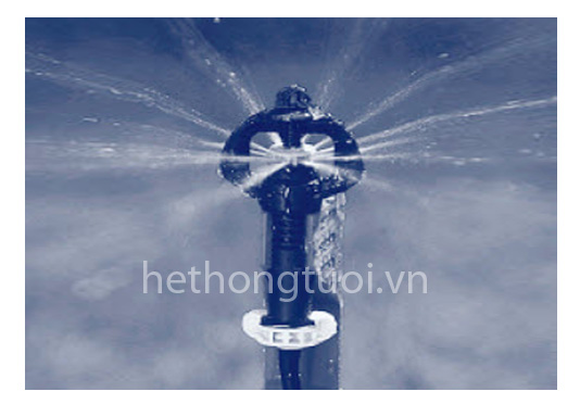 tuoi phun mua cho rau mo hinh tuoi phun mua israel gia he thong tuoi phun mua chi phi lap dat he tho tuoi phun mua cho rau mo hinh tuoi phun mua israel gia he thong tuoi phun mua chi phi lap dat he tho