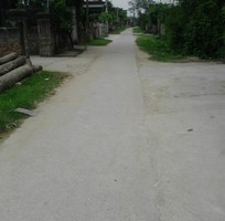 tim nguoi ghep chung mua dat tai khoi 9 thi tran hung nguyen nghe an