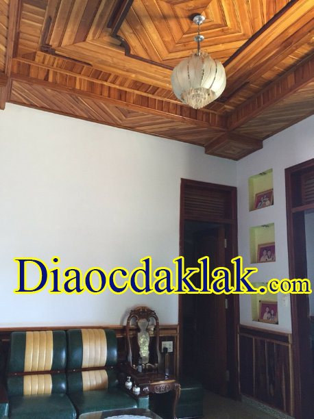 biet thu gan dai hoc tay nguyen gia re co hinh anh thuc