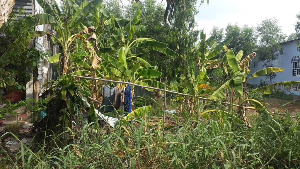 ban dat tho cu tai khu pho minh phu tt minh luong huyen chau thanh kien giang