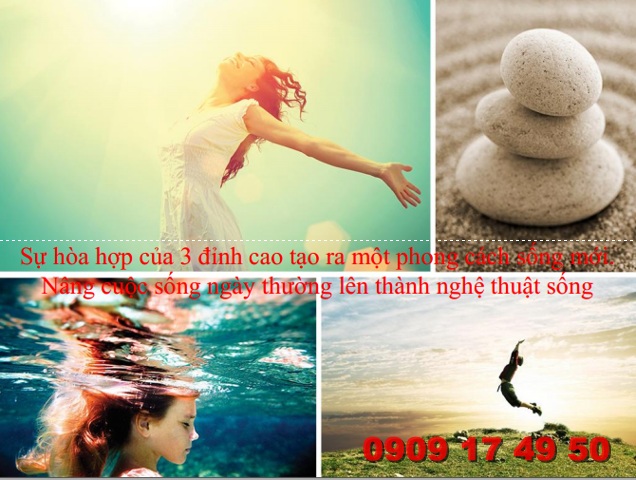 ct plaza nguyen hong go vap kien truc nghe thuat doc dao giua long sai gon