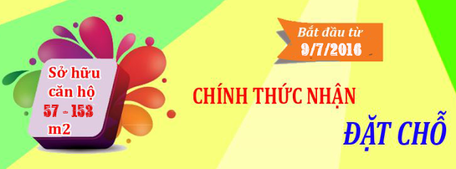 quy trinh dat cho cong trinh the link ciputra ha noi