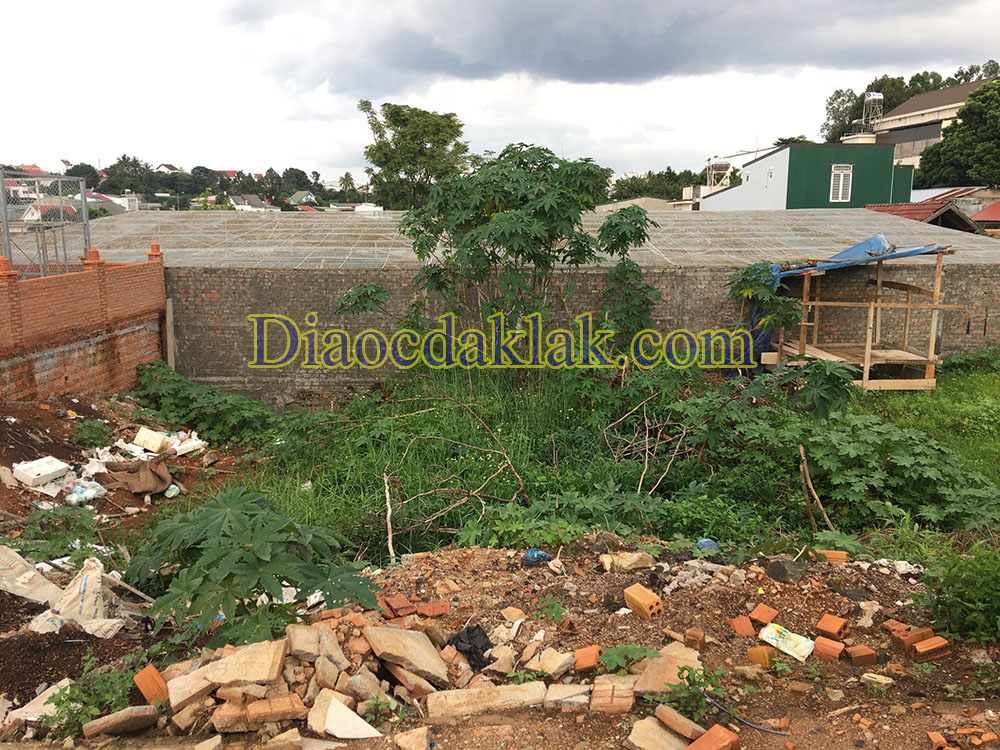 dat mat tien hoang hoa tham 700 trieu co hinh anh thuc