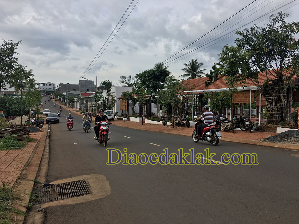 dat mat tien hoang hoa tham 700 trieu co hinh anh thuc