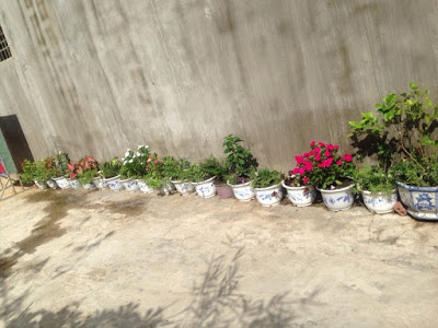 can ban nha ap xuan thoi dong 3 xuan thoi dong huyen hoc mon 13ti 108m2