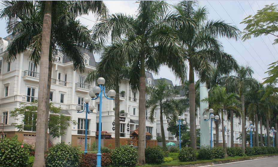 dự án Lideco Bắc 32