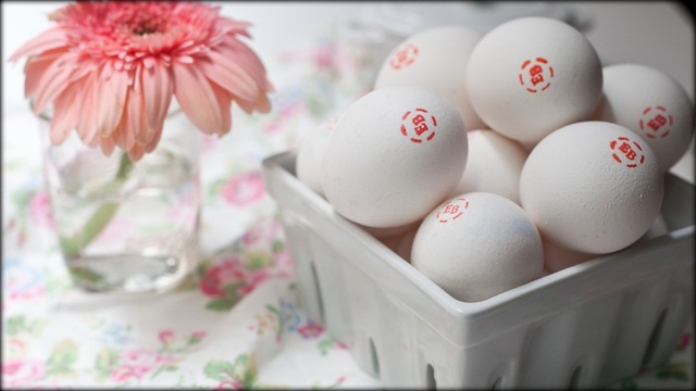 chan nan be tac khong biet nen kinh doanh gi ban hay vao day nha