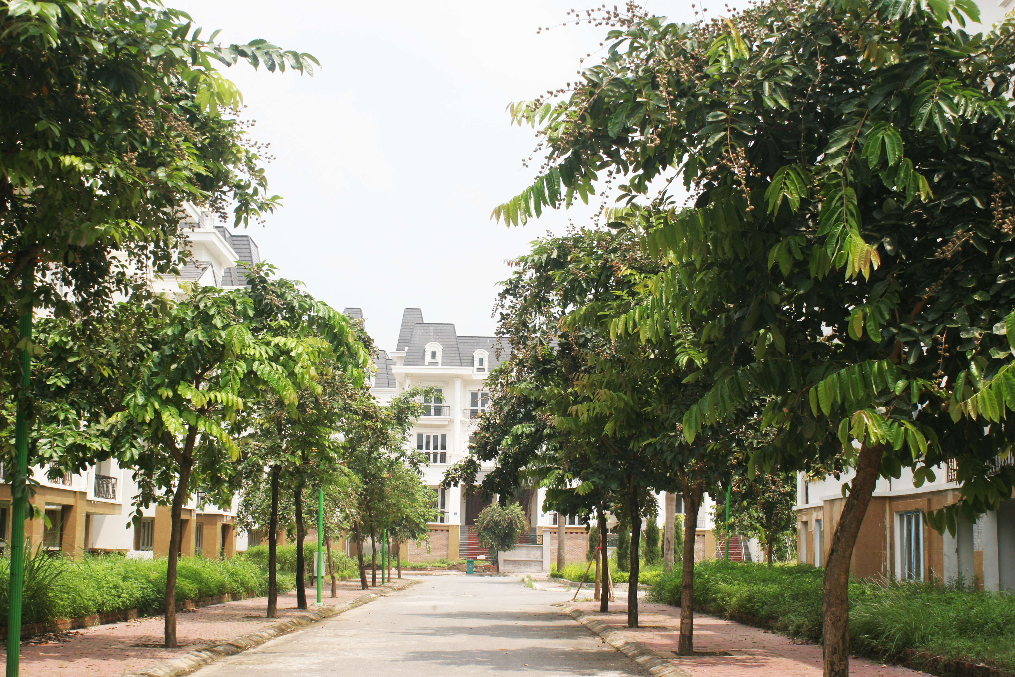 thiết kế dự án Lideco Bắc 32