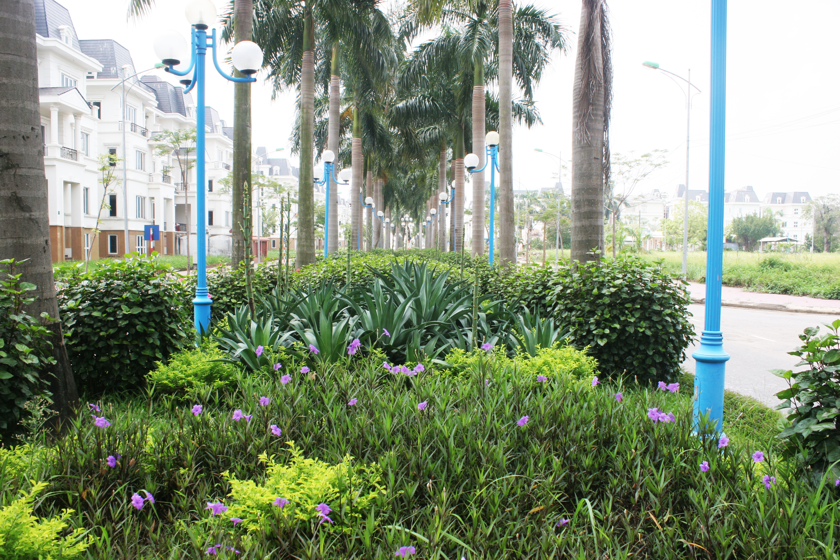 thiết kế dự án Lideco Bắc 32