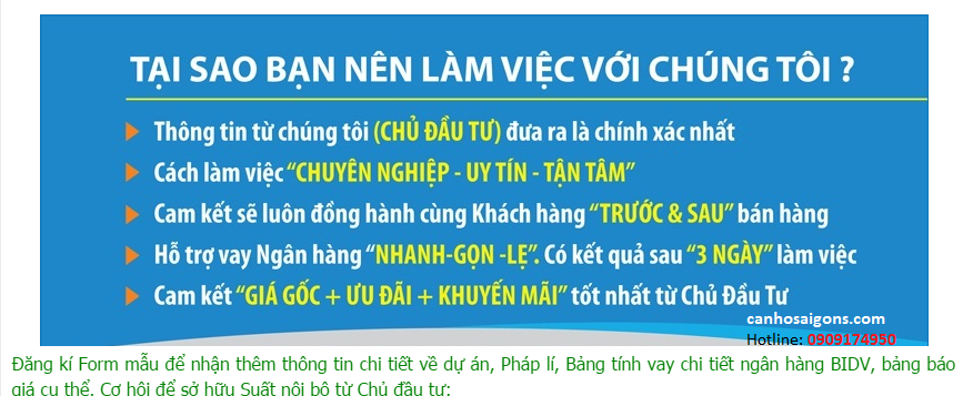 Chủ đầu tư dự án Ct Plaza Nguyên Hồng