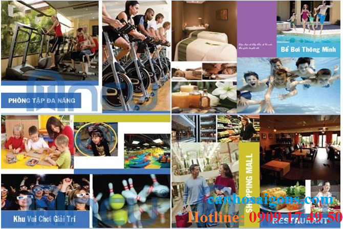 ct plaza nguyen hong noi an cu va huong thu cuoc song ct plaza nguyen hong noi an cu va huong thu cuoc song