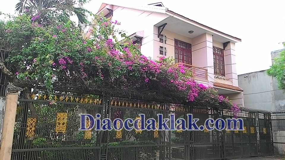 biet thu san vun 1820 hem nguyen tat thanh 52 ty