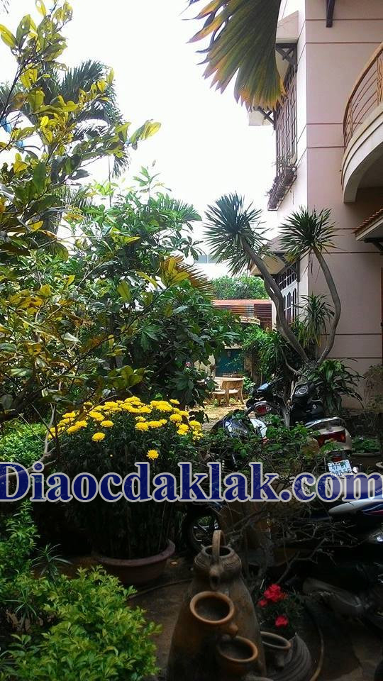 biet thu san vun 1820 hem nguyen tat thanh 52 ty