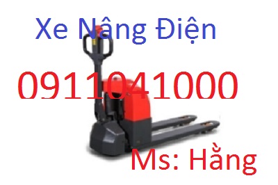 xe nang dien gia re