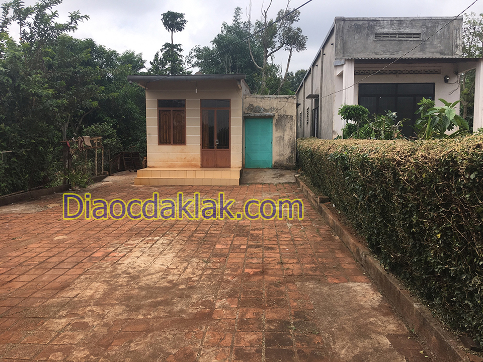 ban 65 sao ca phe dep gan doi thong eatam hem duong 19 5