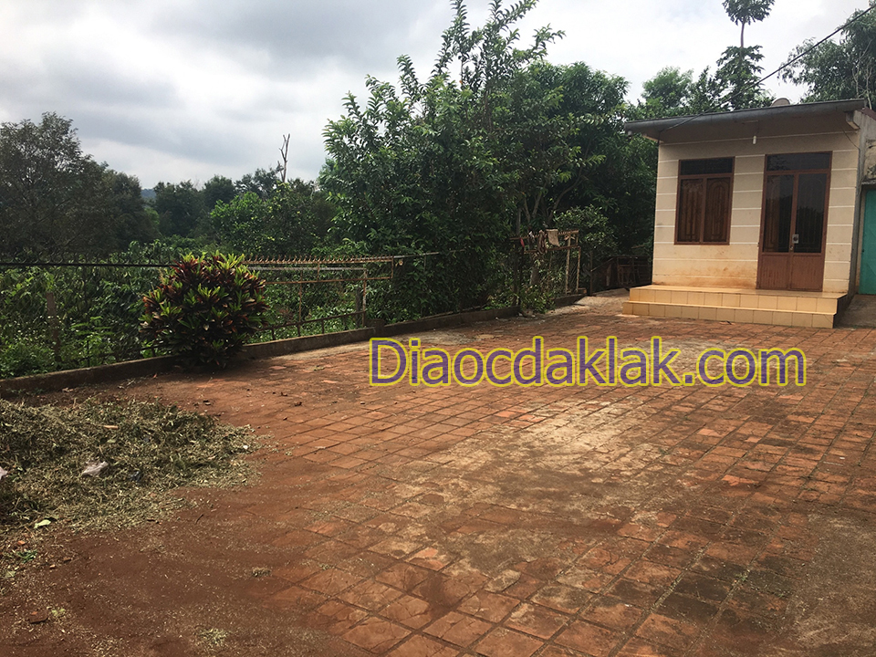 ban 65 sao ca phe dep gan doi thong eatam hem duong 19 5