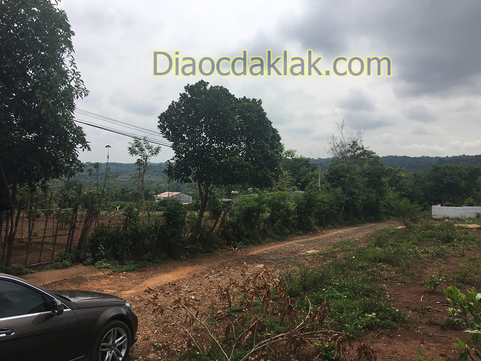 ban 65 sao ca phe dep gan doi thong eatam hem duong 19 5