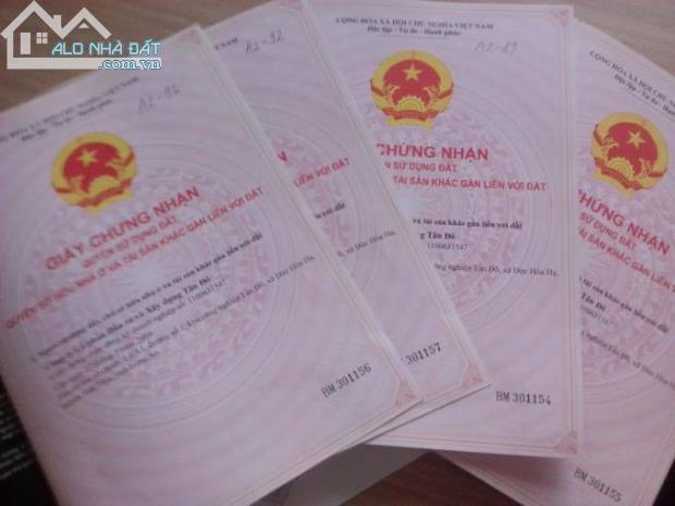 thoi diem nay dau tu o dau la hop ly nhat noi nao se thay da doi thit nhanh nhat