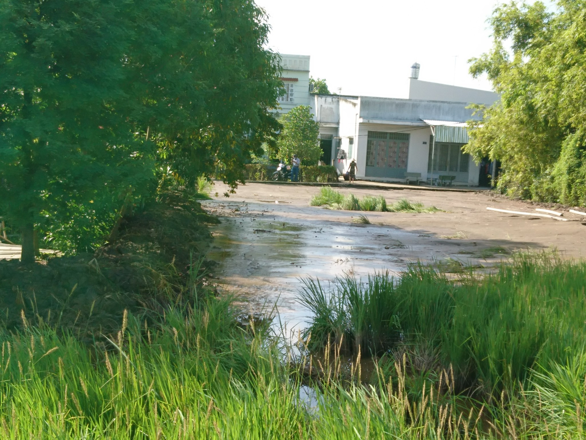 ban re 1123m2 tho cu xay tro xay nha vuon nen cao rao gia chi 3 ty nhanh hl11 quy duc binh chanh chi