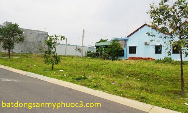 co nen mua dat my phuoc 3