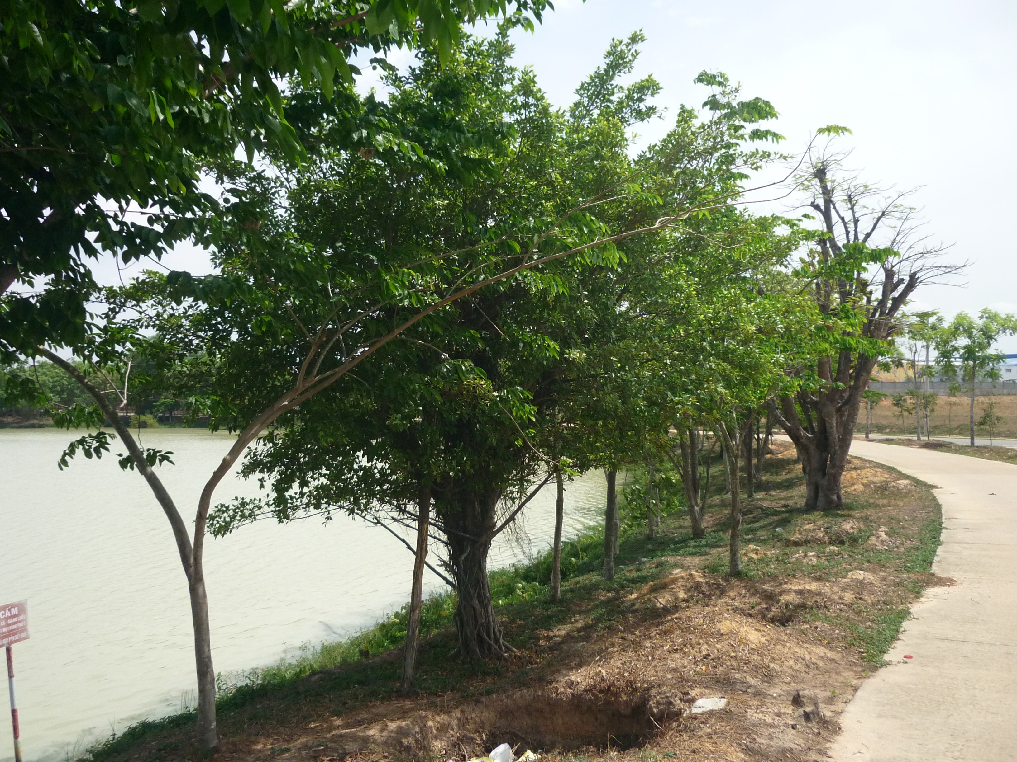 tong cong ty becamex mo ban dat nen khu do thi my phuoc 34