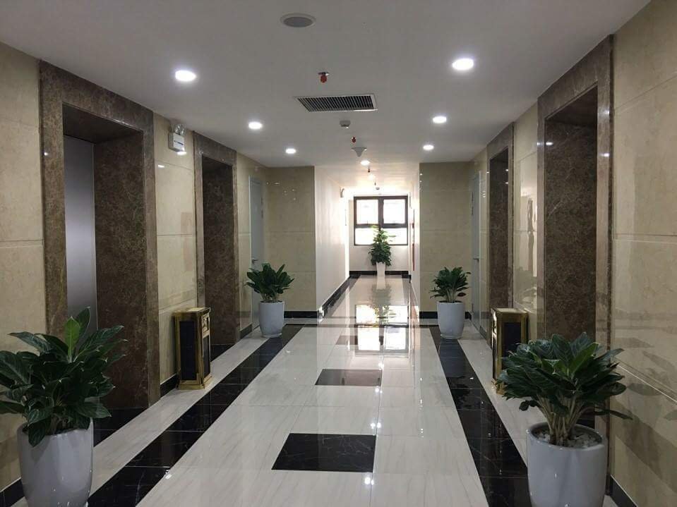 thong bao chinh thuc ve viec mo cua can ho mau an binh city