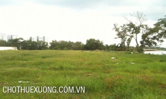 cho thue dat trong tai thanh tri ha noi dt 9900m2 gia re