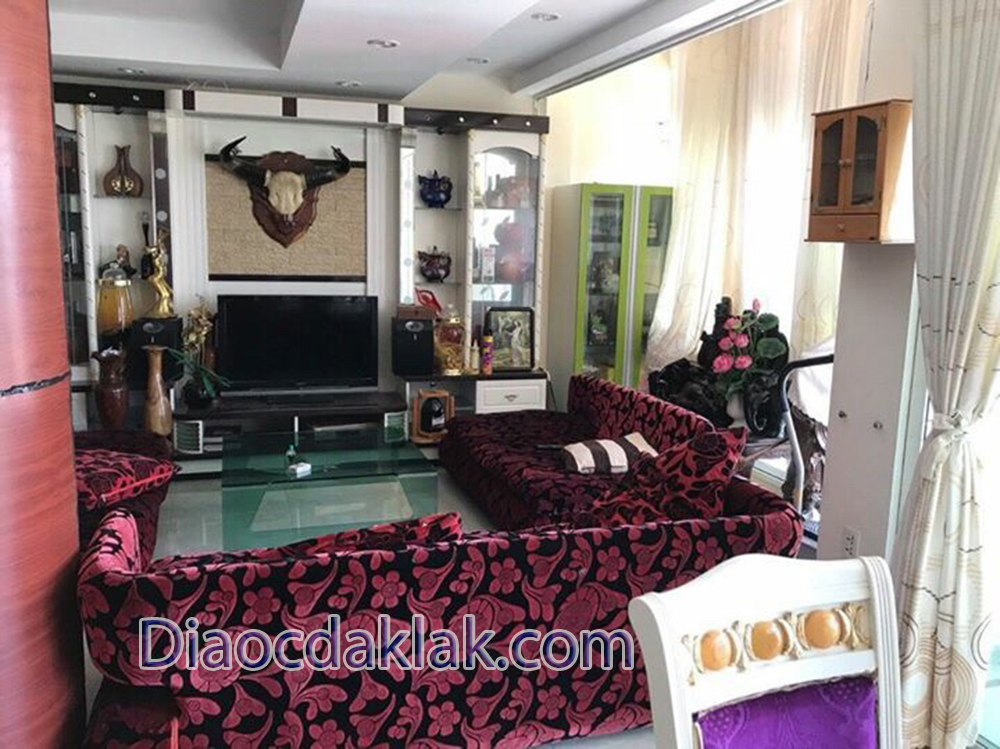 ban gap can ho vip hoang anh gia lai 230m2 gia 2050 ty tang het noi that cao cap