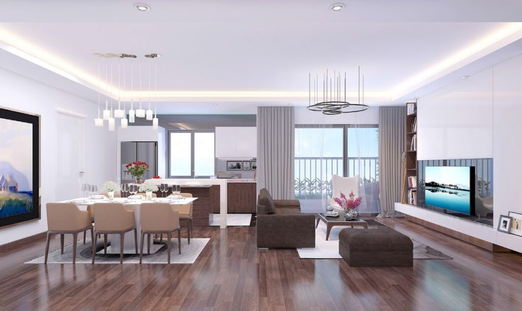 can-ho-mau-chung-cu-n08-giang-bien