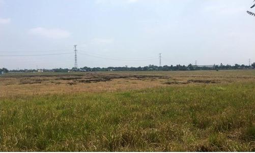 cho thue dat trong tai cum cn tam diep ninh binh phu hop xay dung kho xuong san xuat hang hoa