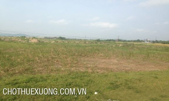 Chuyển nhượng gấp đất công nghiệp tại Ân Thi, Hưng Yên giá hợp lý - ảnh 0