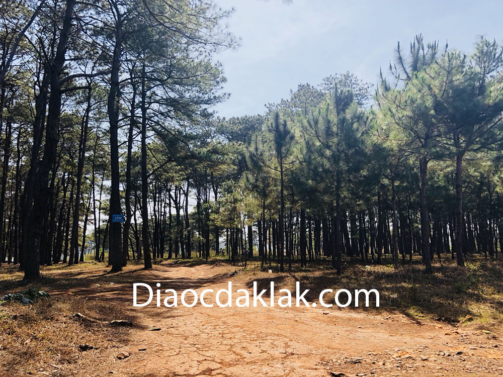 can ban gap 2 ha dat gan doi thong duong 19 5 co anh thuc