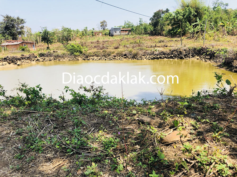 can ban gap 2 ha dat gan doi thong duong 19 5 co anh thuc