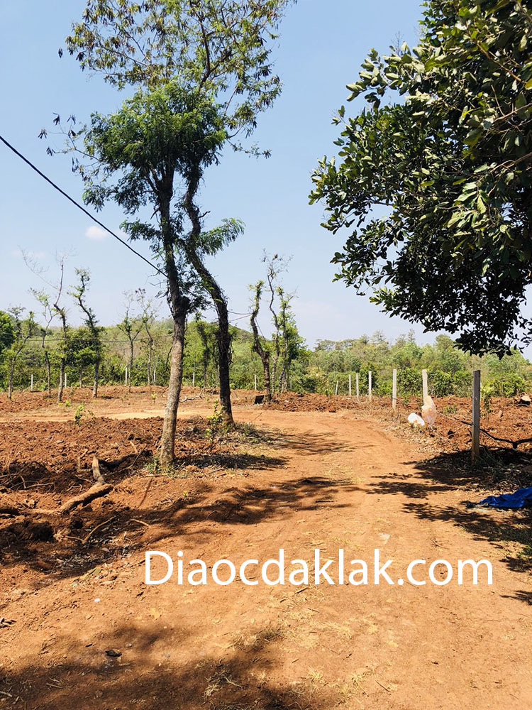 can ban gap 2 ha dat gan doi thong duong 19 5 co anh thuc