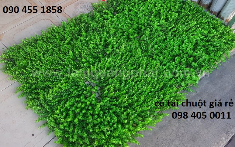 ban co nhua trang tri tuong gia re 098 405 0011