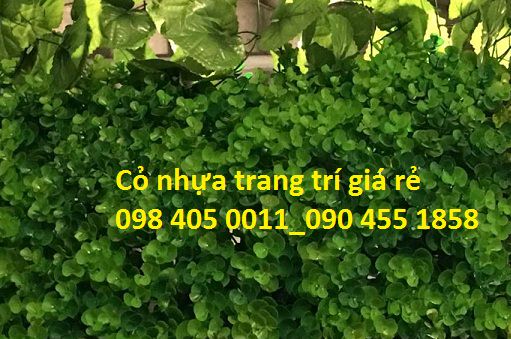 co trang tri noi that co tai chuot gia re 098 405 0011