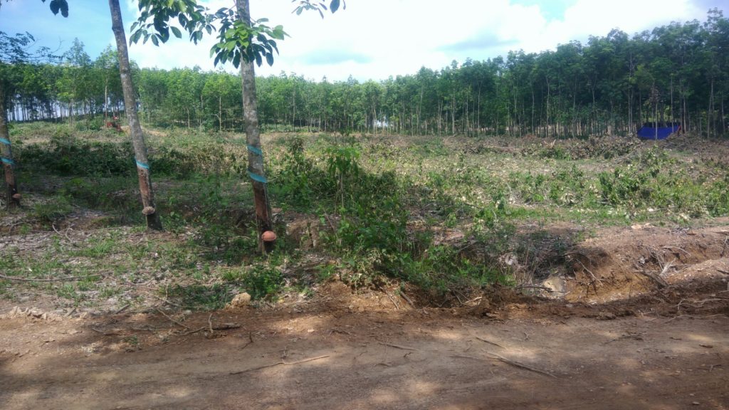 Bán đất thổ cư phường Tân Đồng, TX.Đồng Xoài, Tỉnh Bình Phước