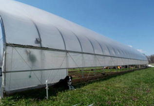 mang nha kinh nha kinh phoi nong san nha kinh phoi ca phe