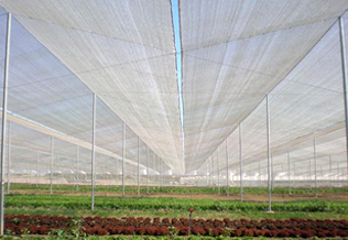 mang nha kinh nha kinh phoi nong san nha kinh phoi ca phe