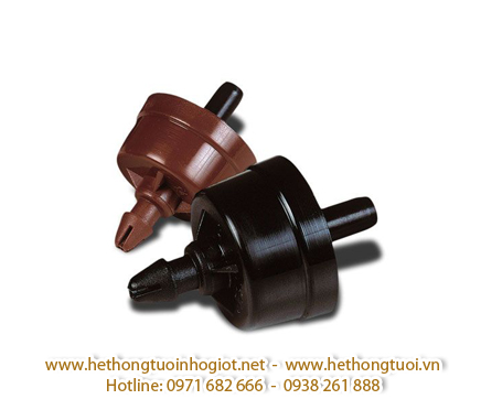 tran thi vien tuo tuoi nho giot tuoi nho giot ha noi day tuoi nho giot bu ap ong tuoi nho giot tuoi 