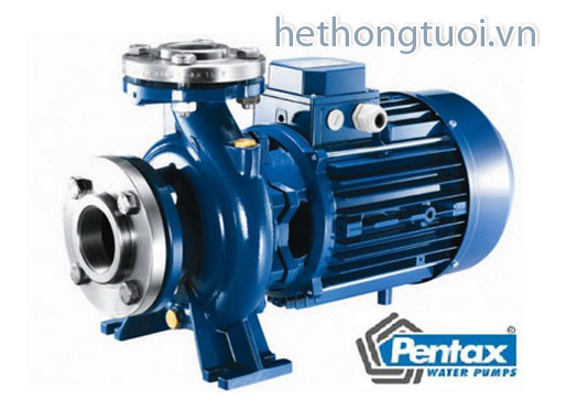 Máy bơm tưới cây chuyên dụng