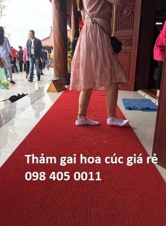 phan phoi tham nhua hoa cuc gia re nhat ha noi 098 405 0011