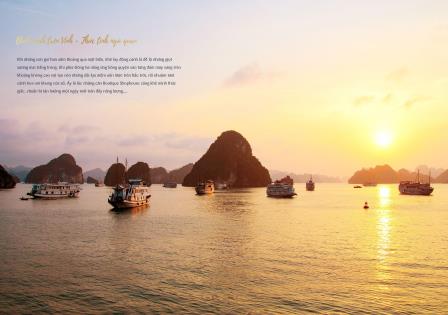 10 can boutique shophouse cuoi cung sungroup ha long kd ksan nha hang trung tam du lich300m2x4t