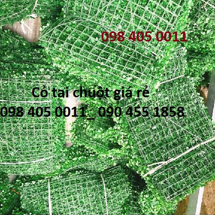 co tai chuot co cai xoong 40cm x 60cm gia re 098 405 0011